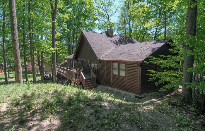Chalet Crystal Mountain - 6 Bedroom - 3 Bath Log Cabin