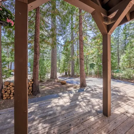The Wildwood Cabin - Tahoe National Forest