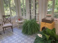 1920's Style for the 2020's - Homestays