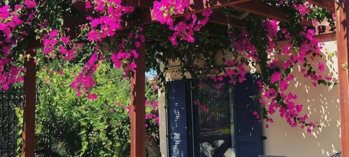 Terpsichori Villa and Apartments Hotels in Galatas