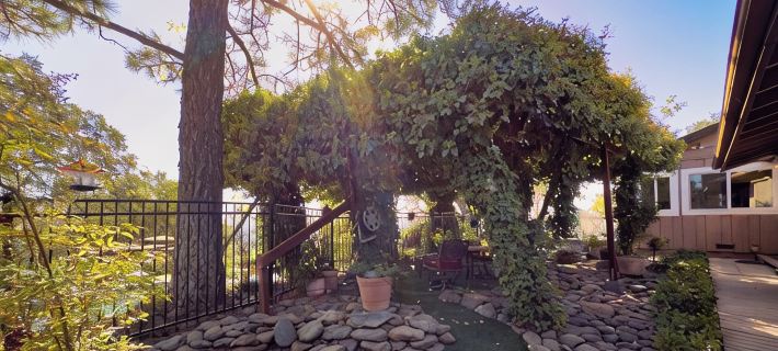 Treetop Villa, Charming cottage on 100 acres with WiFi and AC in serene Mariposa Hotels in Mariposa