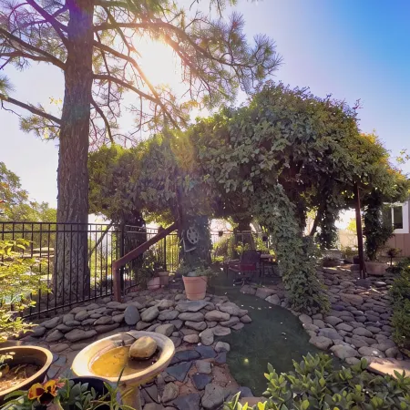 Treetop Villa, Charming cottage on 100 acres with WiFi and AC in serene Mariposa