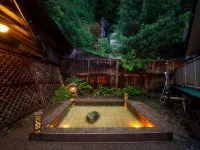 Ryokan Fukumotokan - con terme