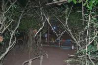 Hidden Jungle Village - que admiten mascotas