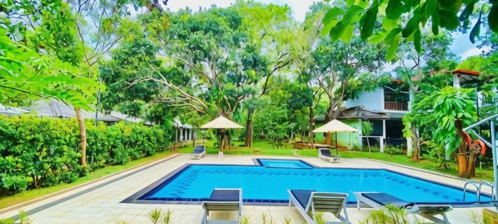 Royal Retreat, Sigiriya 5 Mins to Sigiriya Rock Hotels in Sigiriya