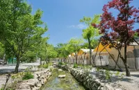 Pocheon Baegun Oyanggol Camping Site - 2-Star