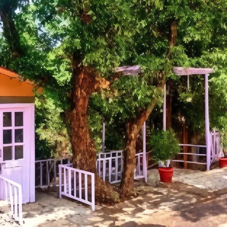 Aaroham Resorts Shimla