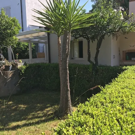 Dependance in Villa 7 km from Cefalù near the sea with garden and services.