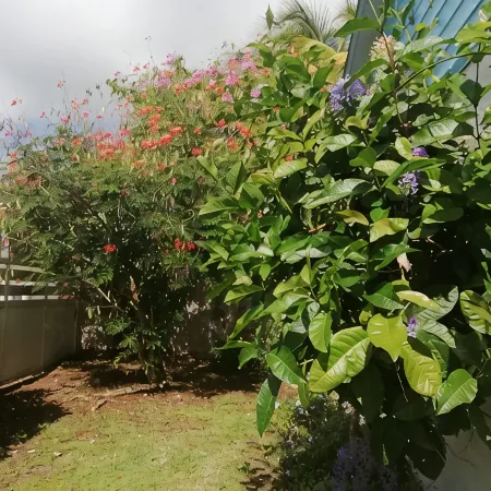 Villa for 6 people, swimming pool, sea view, close to Sainte Anne beaches