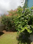 Villa for 6 people, swimming pool, sea view, close to Sainte Anne beaches - 2 stjerner