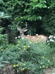 Nature’s nook near city