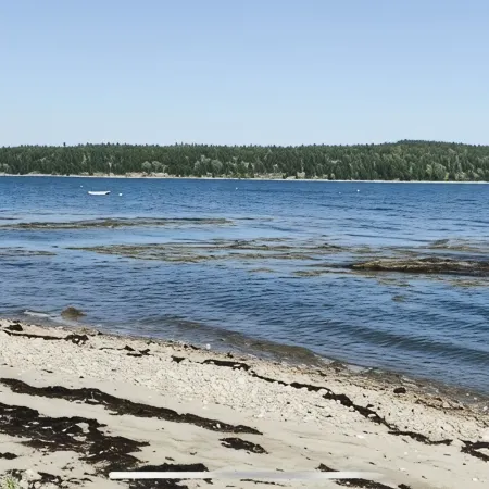 Ocean view tranquil cape