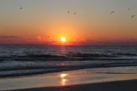 #1 Siesta Key Beach -Super Clean -2 Level Townhouse -2Br/2.5 Bth- 5 Star- 1400sf - 陽台