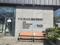 the bluejeju - 泳池
