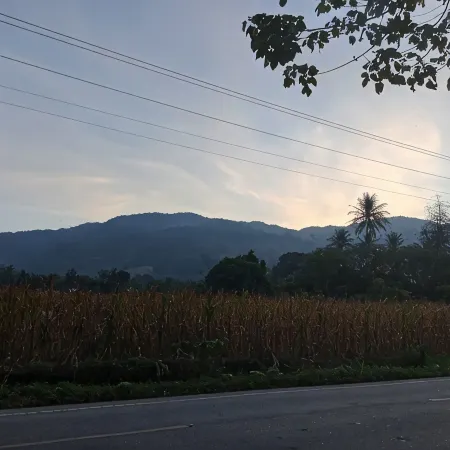 Penginapan Kawan Lama Mardingding Hotels in Karo Regency