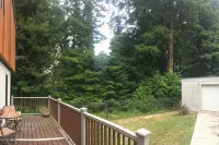 Concrete Loft in the Redwoods - balcony