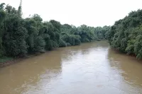 มัสบาห์ เรสซิเดนซี - 2 ดาว