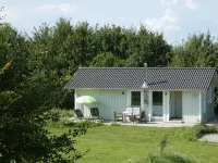 Ferienhaus Lachmöwe - Kleines, Modernes Haus, Idyllisch im Grünen Gelegen - 3-Star