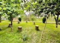Mountain Escape Hotels in Karimabad