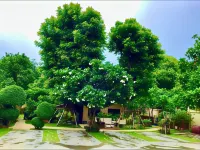 Baan Saranrom Hotels in Amphawa