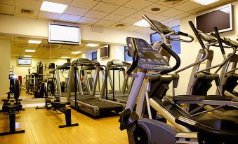 a well - equipped gym with various exercise equipment , including treadmills and stationary bikes , on display in the room at The Dragon Hotel