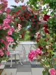 Rosencat Hotels in Sado