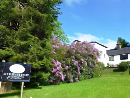 Simonsbath House Hotel Отели в г. Запад Сомерсет Дистрикт