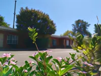 Red Chief Motel Hotel di Gunnedah