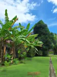 Lendang Eco Lodge Hotels near Klui Beach - Private Property of Budianto Family