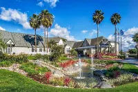 Hilton San Diego/Del Mar Hotels in Del Mar