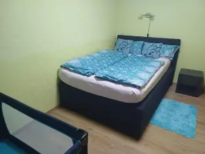 Ferienwohnung in Dem schönen Kurort Bad Dürkheim