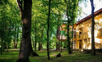 Park Hotel Sóstó