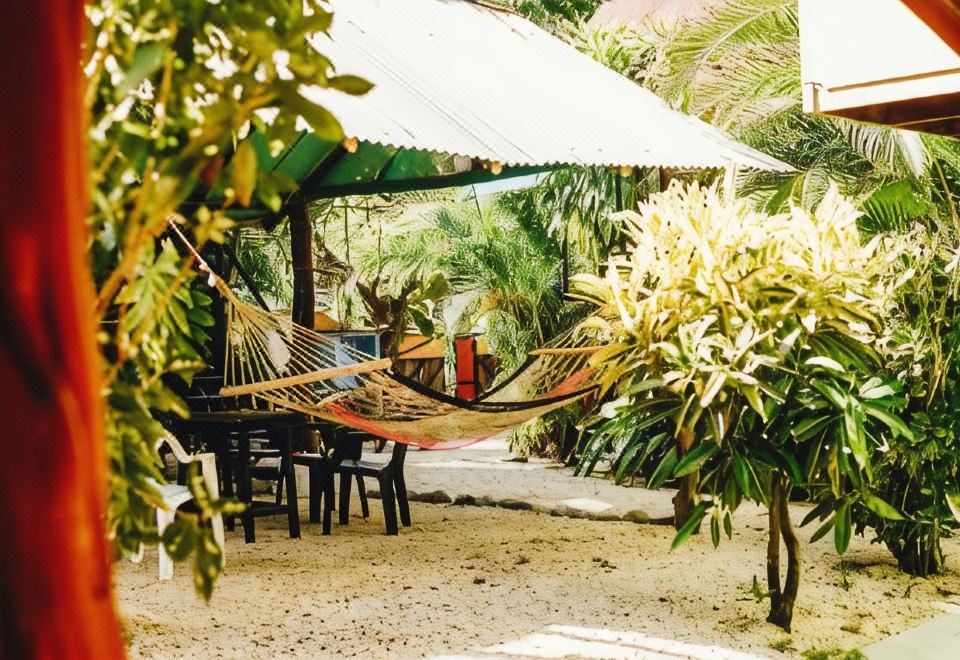 Hotel Surf Paradise, Exterior, Garden