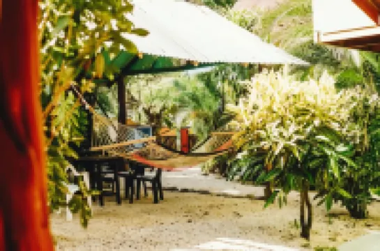 サーフ パラダイス