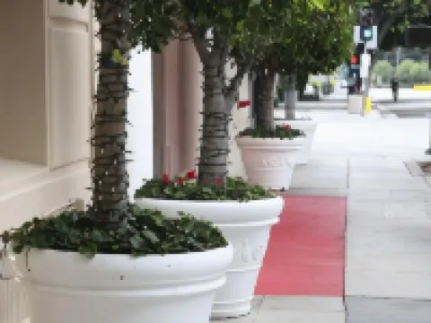 Hotel Carmel Santa Monica Hotels in Santa Monica