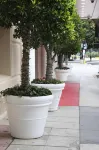 Hotel Carmel Santa Monica - Beach