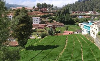 A Ooty Honey Huts