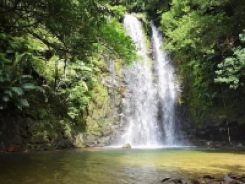 やんばるの森 大宜味村のホテル