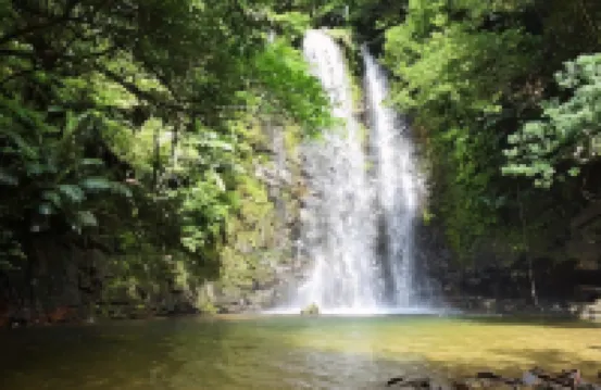 Yanbaru No Mori -Seven Hotels and Resorts-