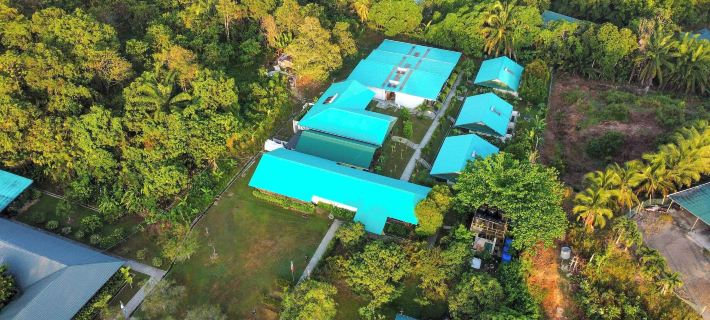 Tanini Sepilok Formerly Known As Nature Lodge Sepilok Hotels in Sandakan