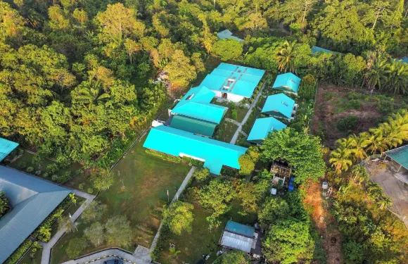 塔尼尼錫必洛克（原名自然小屋錫必洛克）