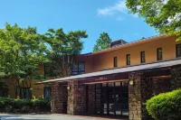 Diamond Hakone Society - bar