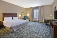 HIlton Garden Inn Detroit/Novi Hotels in Нові