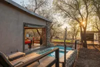 Foxy Crocodile Bush Lodge & Kruger Safari's - No Loadshedding Hotels in Marloth Park