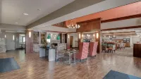 Holiday Inn Express & Suites ST. CLOUD by IHG - petit déjeuner