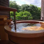 Araki Kousen Ryokan (Japanese-Style Hotel) Hotel in zona Chichibu Bridge