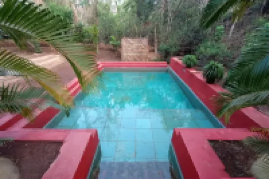 Nature's Nest Eco Resort Goa, Near Dudhsagar Waterfalls