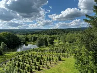 Christmas Tree Farm A-Frame Retreat: Sauna + Views + Near PSU
