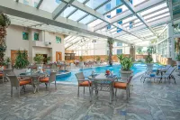 Bristol Hotel - piscine