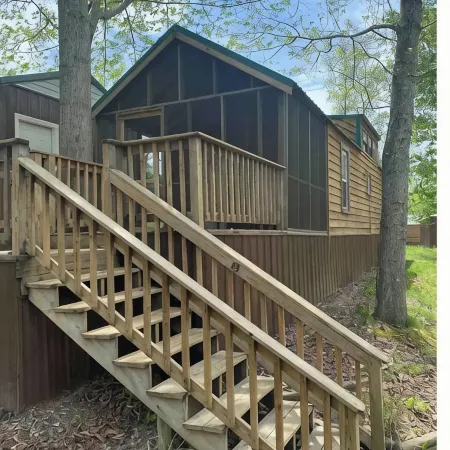 The Peaceful Pine Cabin